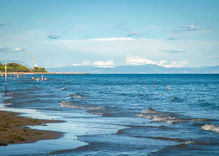 Waterfront In 54587 Apartment